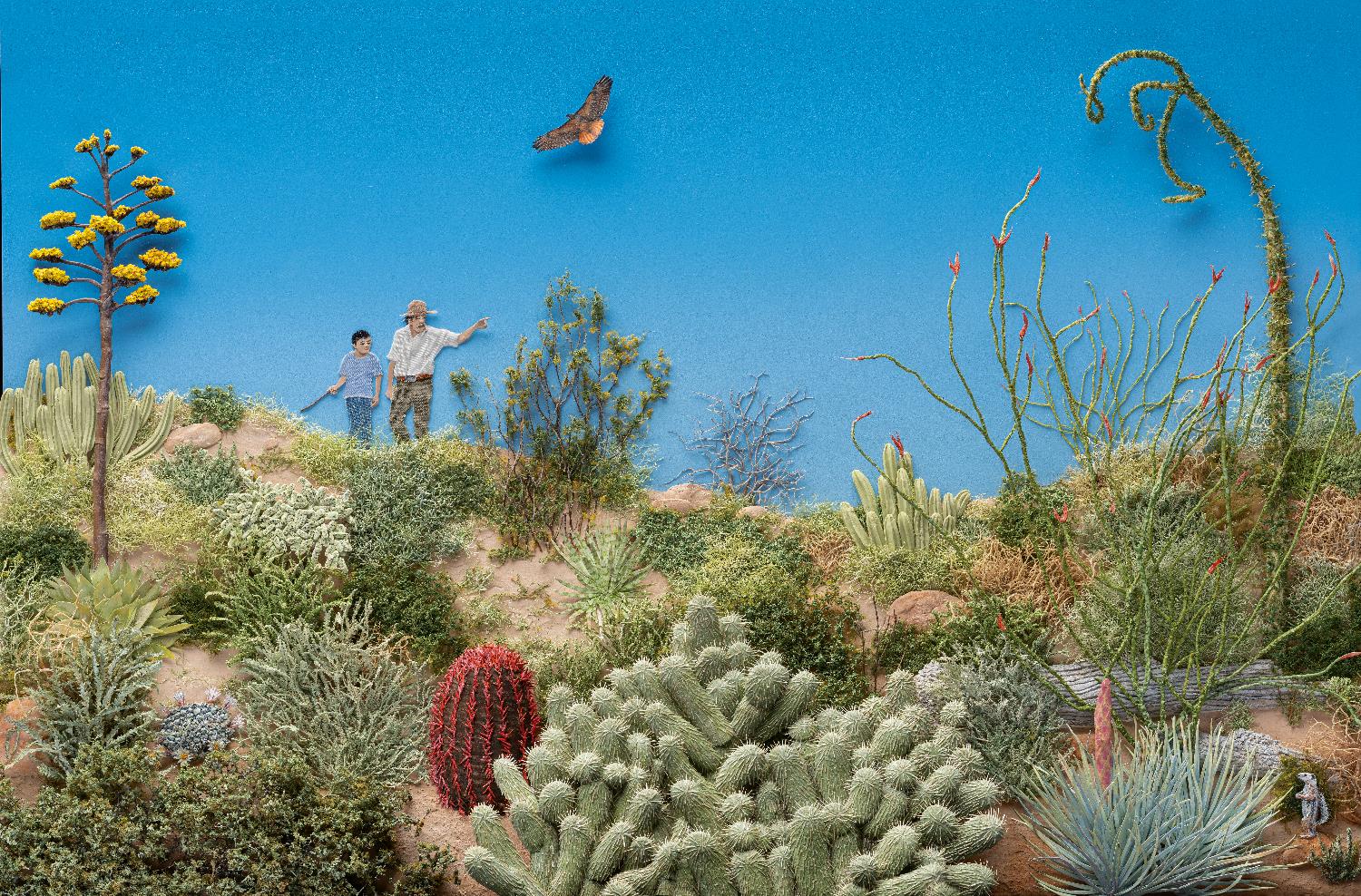 Jeannie Baker, Desert Jungle #10 (2023), collage, 291 x 450 x 60mm. Courtesy the artist. Photo: Jaime Plaza.